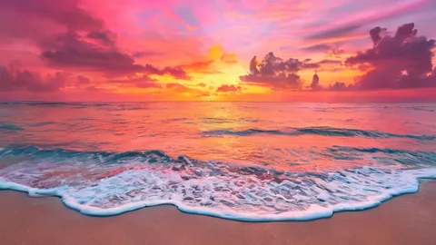 Miami: 5 attività imperdibili per vivere l'essenza della Florida