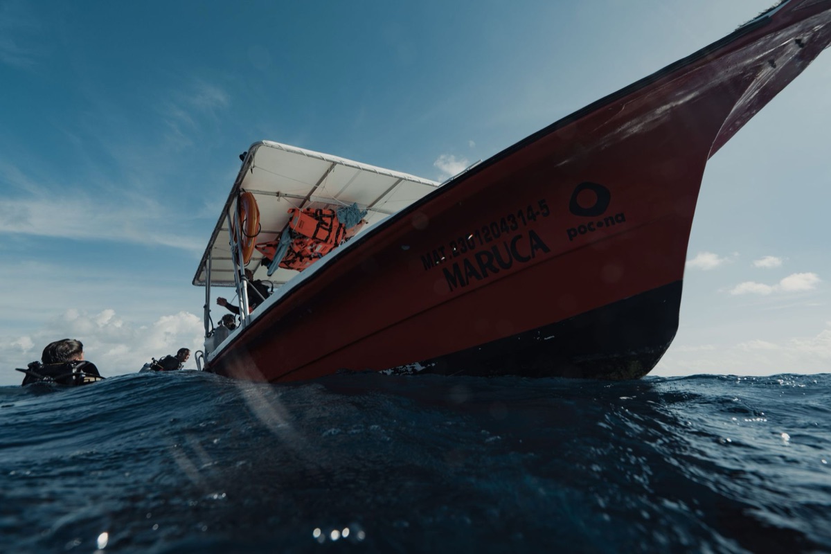 マイアミで楽しめる マotorboat とスノーカー