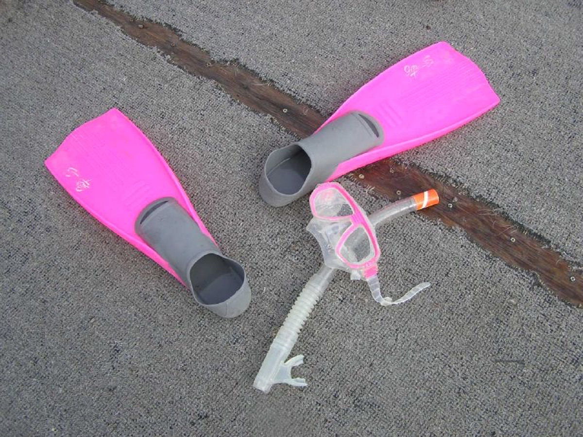 マイアミの snorkeling mask とフィン