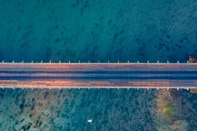 7 Miglia di ponte: l'immersione nell'ecosistema Marino Keys