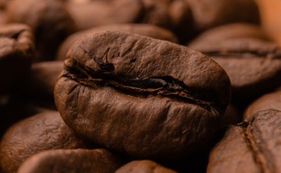 Kubanischer Kaffee: Ein Ritual der Migration in Miamis Herz