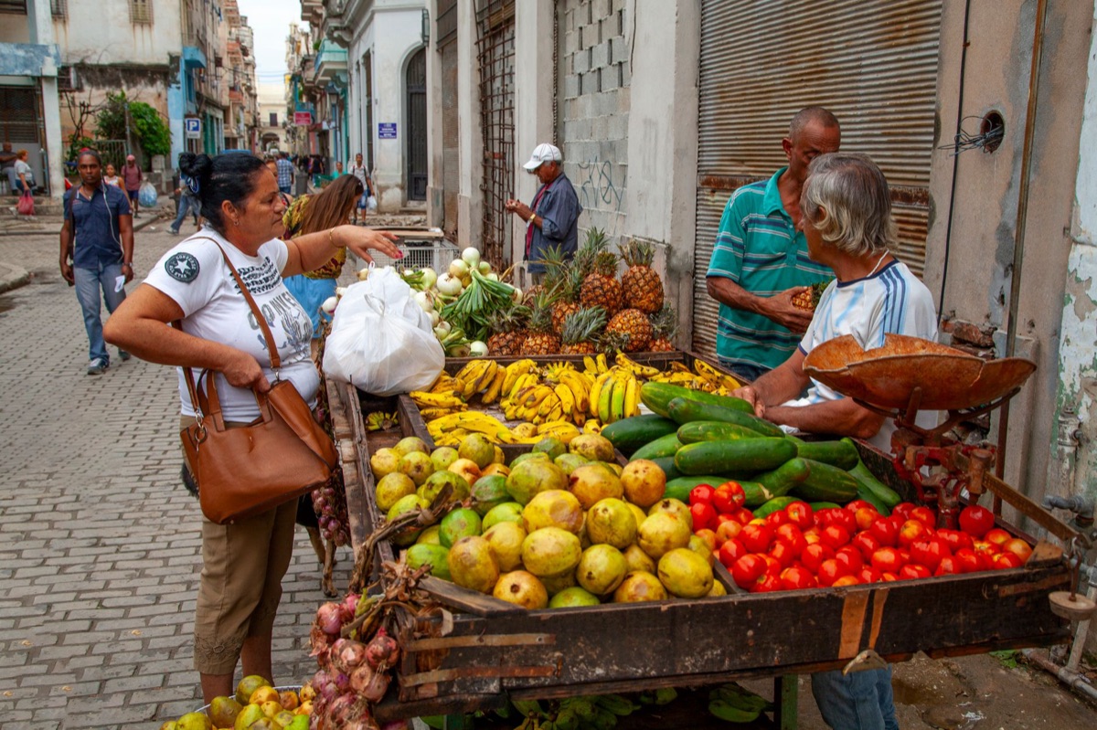 Street food scene in Little Havana with a Cuban sandwich on a plate