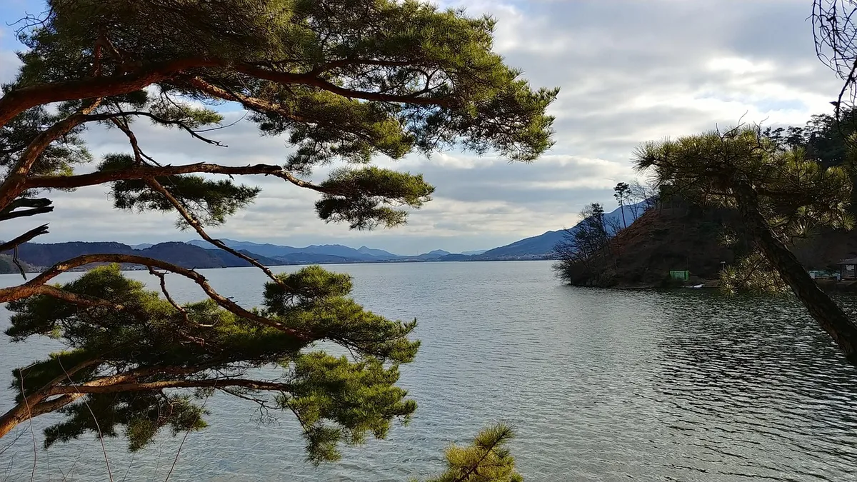 the body of water, nature, tree, scenery, outdoors, lake, beautiful, horizontal, location of, chungnam, budget, a landscape, a