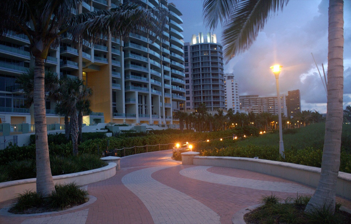 Miami boardwalk with palm trees