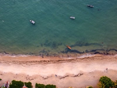 70.2%がラテン系：マイアミの多様性が生むダイナミズム